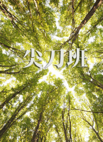 欧美a性
